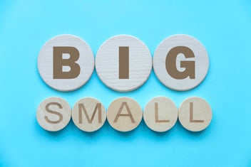Big Consulting vs Boutique Firms