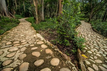 Path