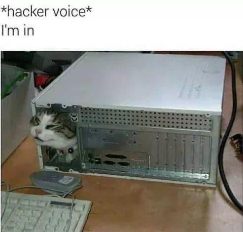 hacker_cat