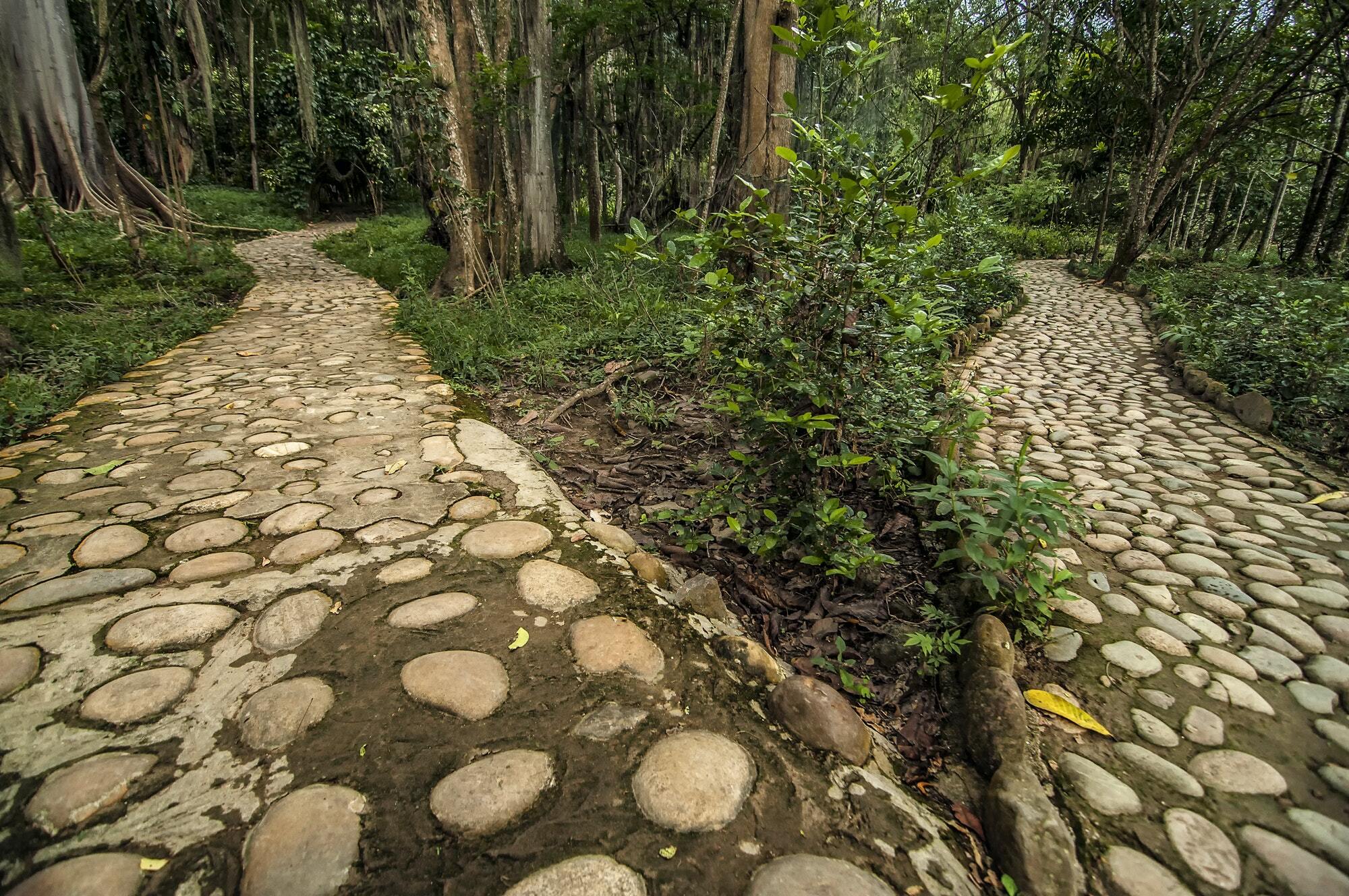 Path